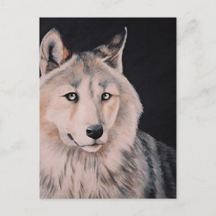 White Wolf painting by DiDi Postcard