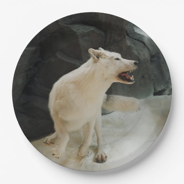 White Wolf Paper Plate (Front)