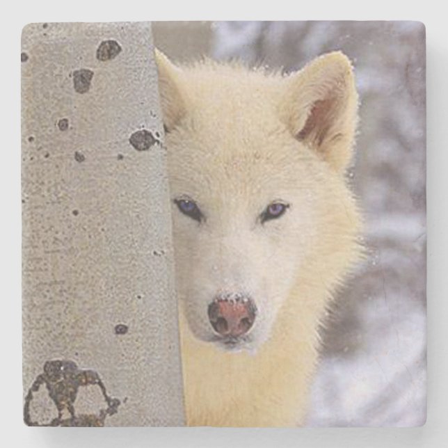 White Wolf Stone Coaster (Front)