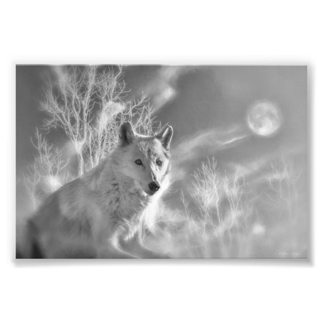 WHITE WOLF WHITE FOREST PHOTO PRINT (Front)