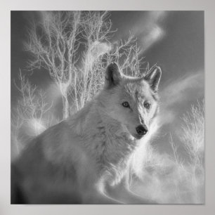 WHITE WOLF WHITE FOREST POSTER