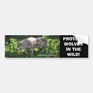 WHITE WOLF Wildlife Conservation Bumper sticker