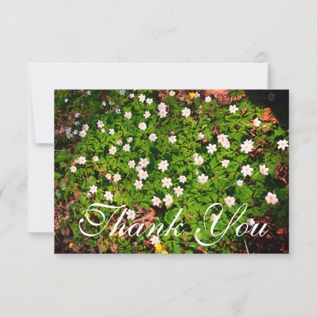 White Wood Anemone Spring Flowers Thank You Card (Front)