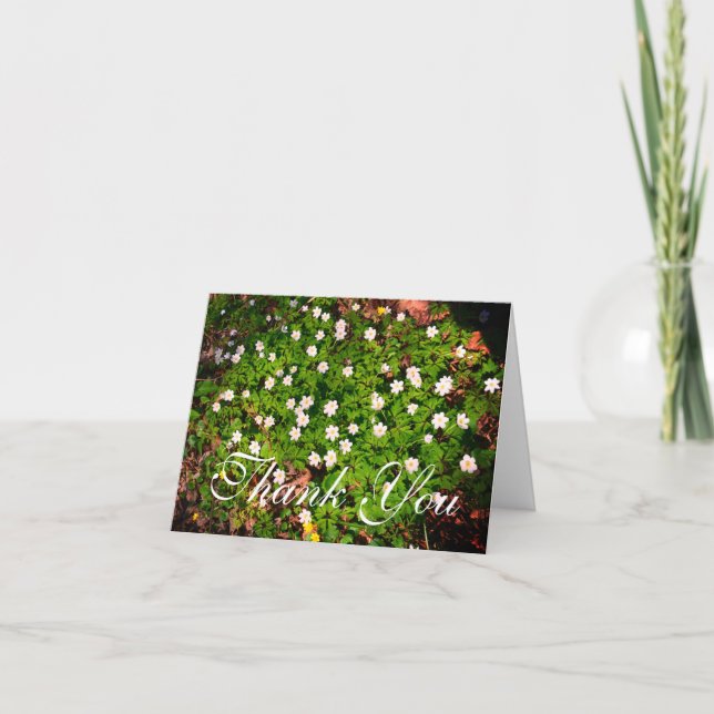 White Wood Anemone Spring Flowers Thank You Card (Front)