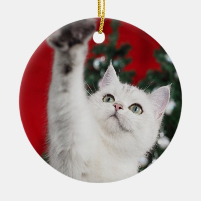 White XMAS Cat Ceramic Tree Decoration (Front)
