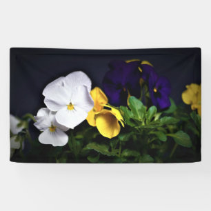 White Yellow and Purple Pansies Banner