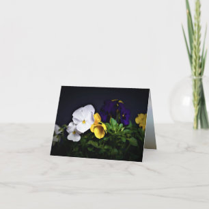 White Yellow and Purple Pansies Card