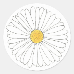 White Yellow Daisy Blossom Flower Garden Spring Classic Round Sticker