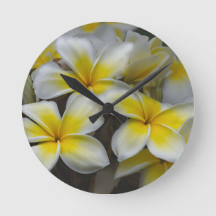 White Yellow Plumeria Round Clock