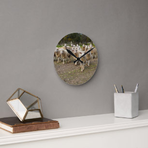 White Young Woolly Sheep, Round Clock
