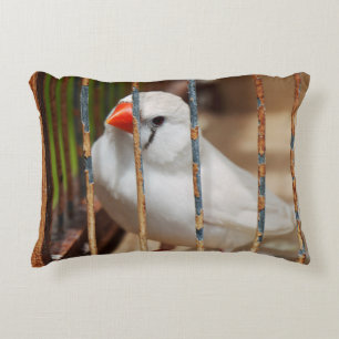 White Zebra Finch Bird in Cage Decorative Cushion