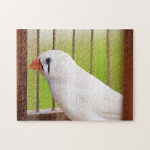 White Zebra Finch Bird in Cage Jigsaw Puzzle