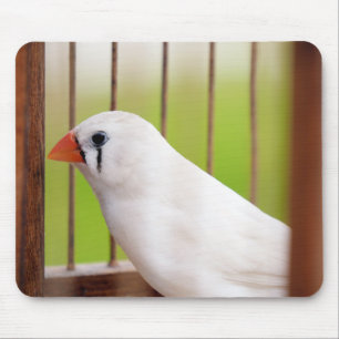 White Zebra Finch Bird in Cage Mouse Mat