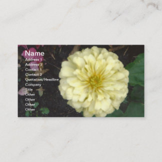 White Zinnia Business Card