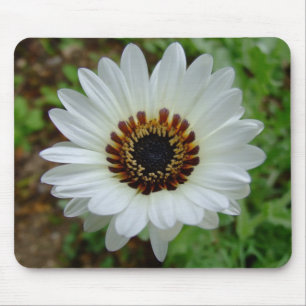 White Zulu prince Daisy Mouse Mat