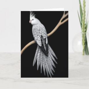 Whitefaced Pearl Pied Cockatiel Card