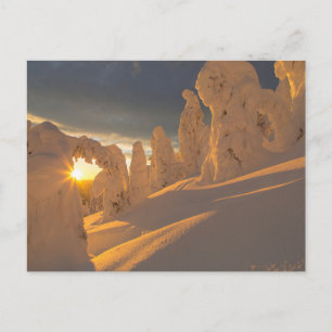 Whitefish Range   Whitefish, Montana Postcard