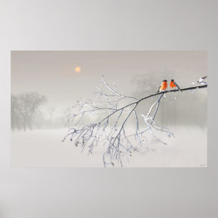 Whiteout Poster