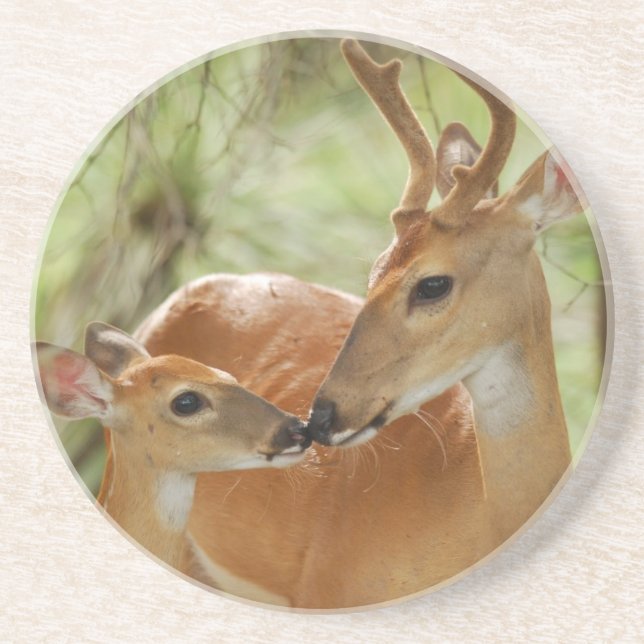 Whitetail Buck And Fawn Bonding Coaster (Front)