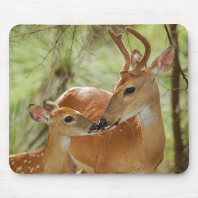 Whitetail Buck And Fawn Bonding Mouse Mat (Front)