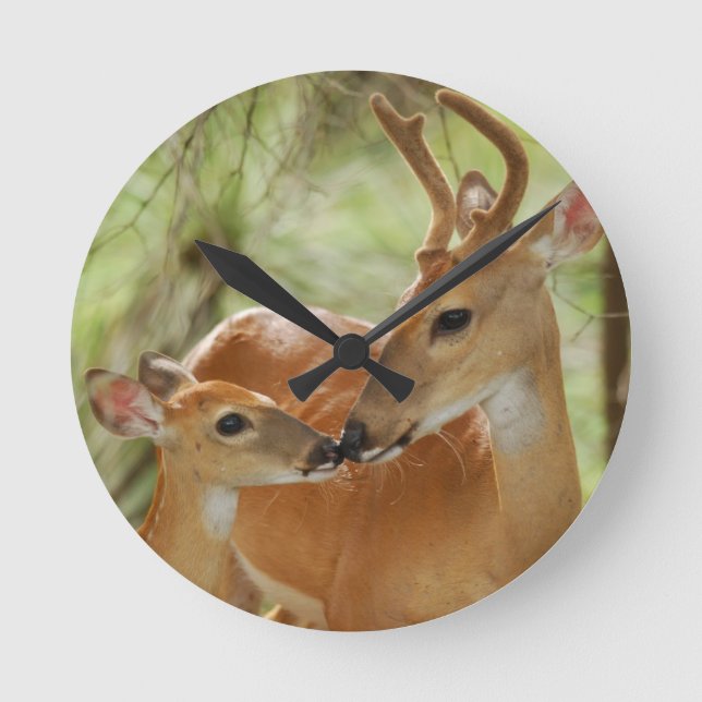 Whitetail Buck And Fawn Bonding Round Clock (Front)