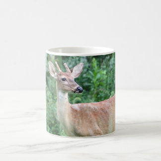 Whitetail Buck Coffee Mug