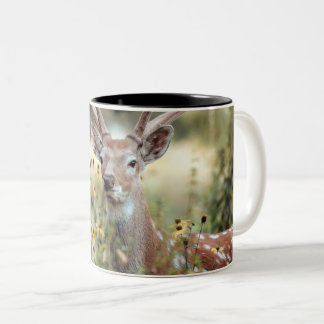 Whitetail Buck Deer awesome Hunting Two-Tone Coffee Mug