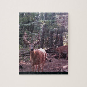 Whitetail  buck in velvet jigsaw puzzle