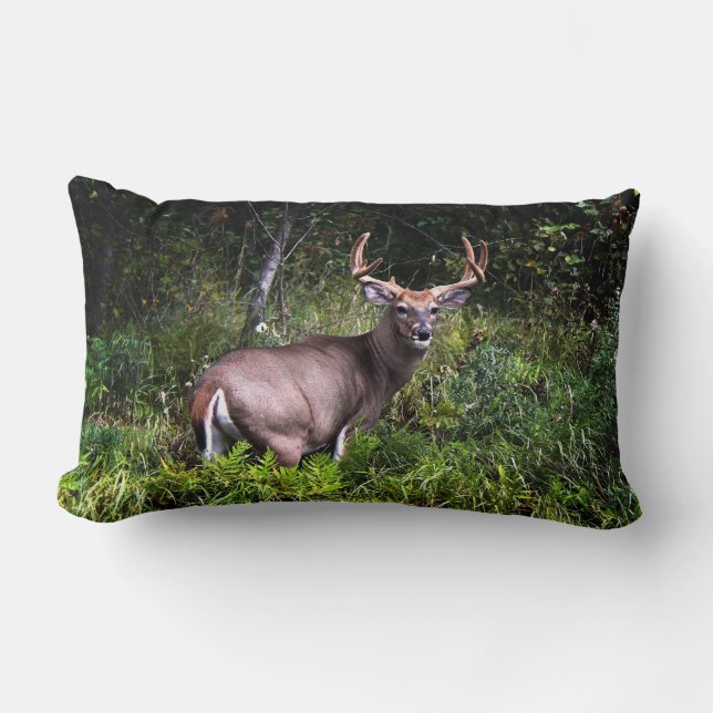 Whitetail Buck Lumbar Pillow (Front)
