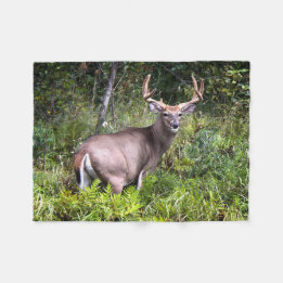 Whitetail Buck Photography Fleece Blanket