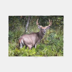 Whitetail Buck Photography Fleece Blanket