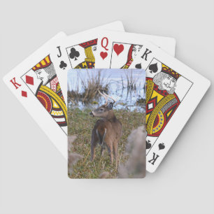 Whitetail Buck Playing Cards