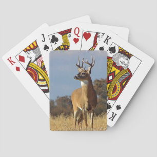 Whitetail Buck Playing Cards