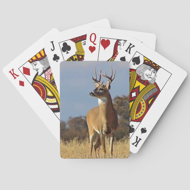 Whitetail Buck Playing Cards (Back)