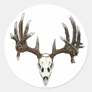 Whitetail buck skull classic round sticker