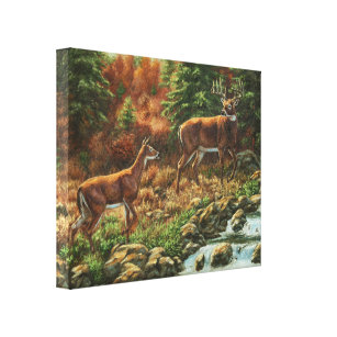 Whitetail Deer and Waterfall Canvas Print