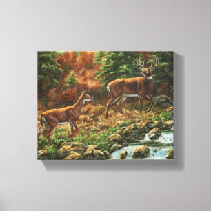 Whitetail Deer and Waterfall Canvas Print