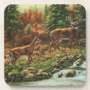 Whitetail Deer and Waterfall Coaster