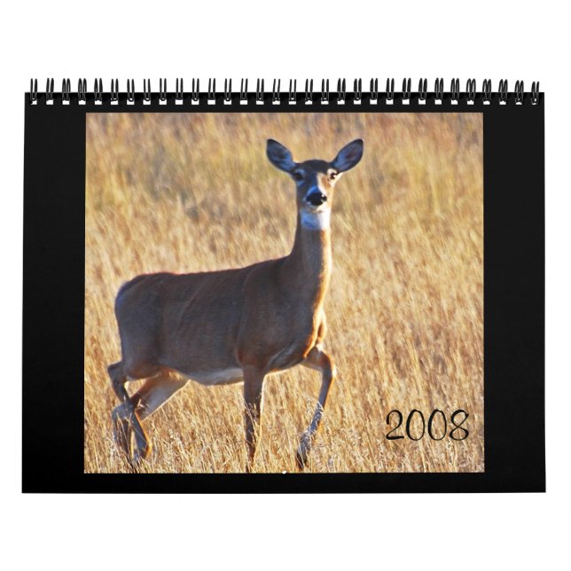 Whitetail Deer at the Dune's! Calendar (Cover)
