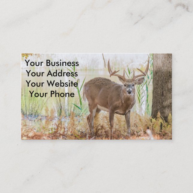 Whitetail deer buck business card (Front)