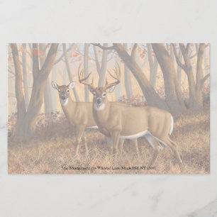 Whitetail Deer Buck & Doe Autumn Maple Woods Stationery