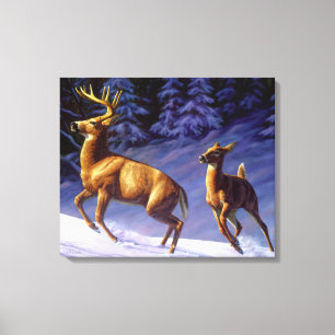 Whitetail Deer Buck & Doe in Winter Snow Canvas Print