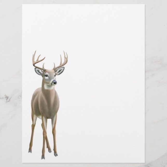 Whitetail Deer Buck Letterhead (Front)