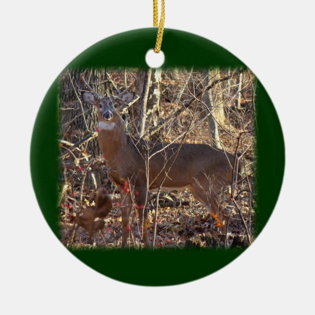 Whitetail Deer Buck Ornament to Personalise (Front)