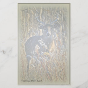 Whitetail Deer Buck Stationery