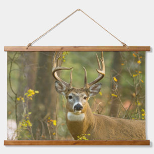 Whitetail Deer Buck   Whitefish, Montana Hanging Tapestry