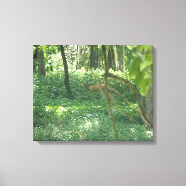 Whitetail deer canvas print (Front)