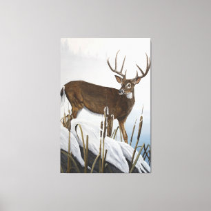 Whitetail deer canvas print