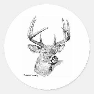 Whitetail Deer Classic Round Sticker