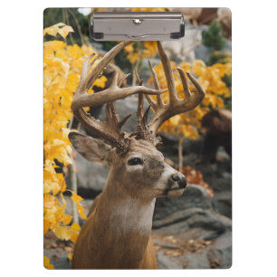 Whitetail Deer Clipboard
